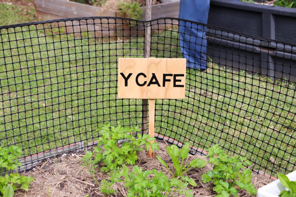 Y Cafe garden